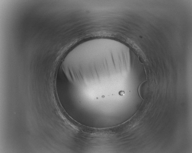 X0000069810625200606021506