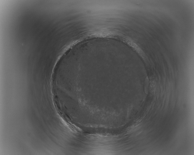 X0000069810626200606021506