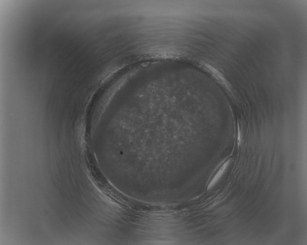 X0000069810627200606021506