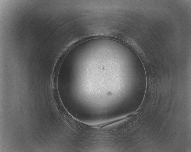 X0000069810628200606021506