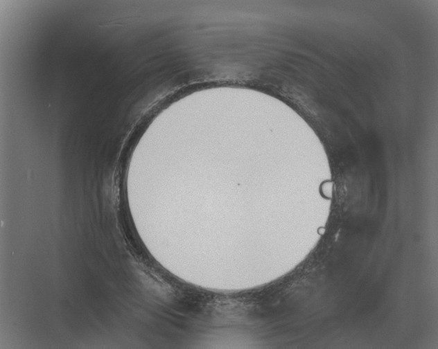 X0000069810632200606021506