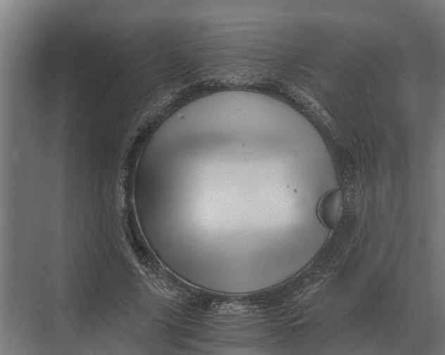 X0000069810635200606021506