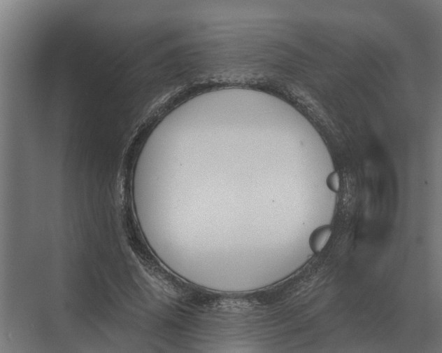 X0000069810636200606021506