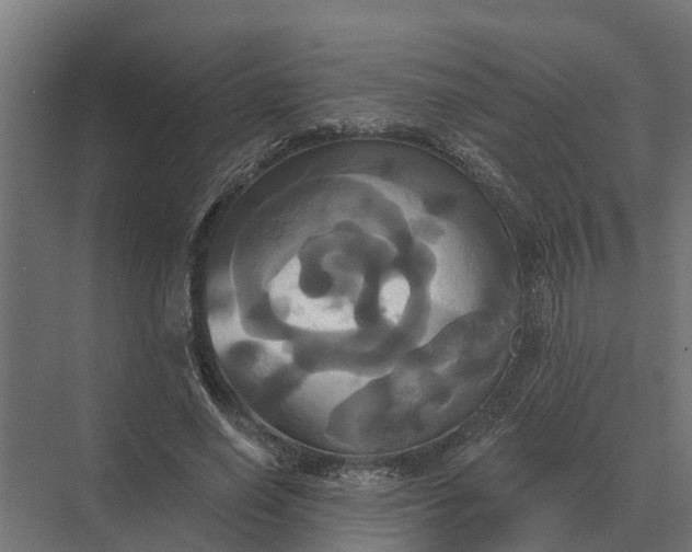 X0000069810638200606021506