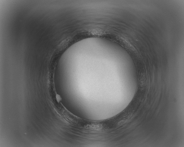 X0000069810639200606021506