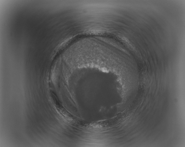 X0000069810640200606021506