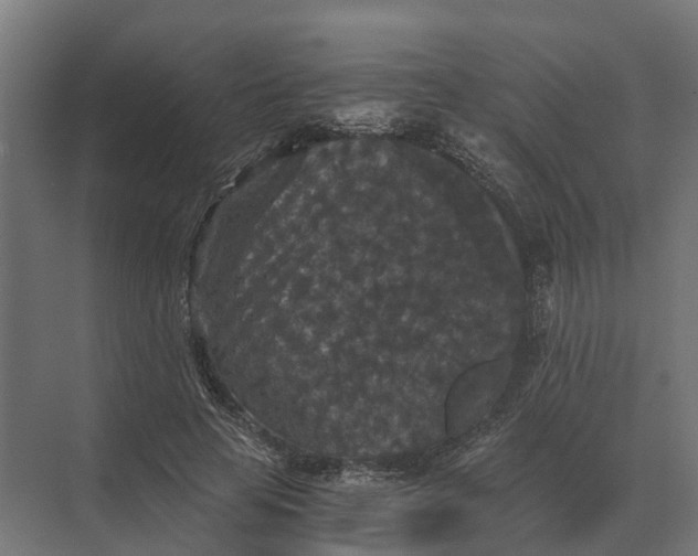 X0000069810641200606021506