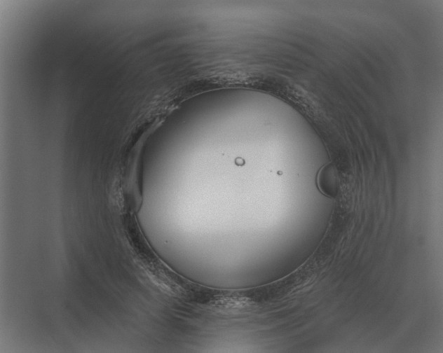 X0000069810642200606021506