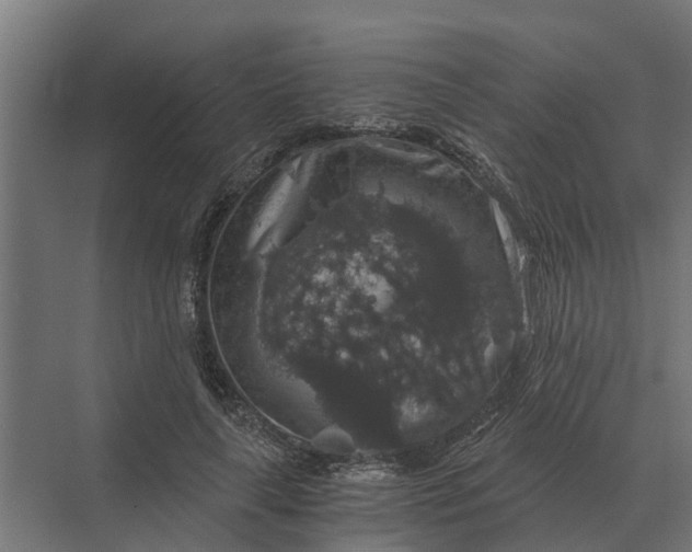 X0000069810643200606021506