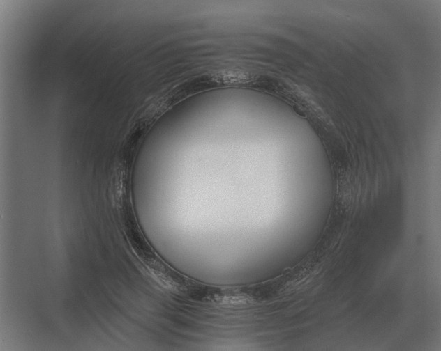 X0000069810645200606021506