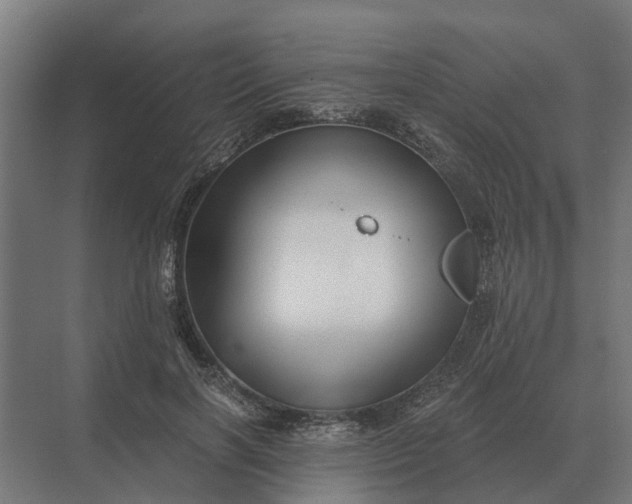 X0000069810646200606021506