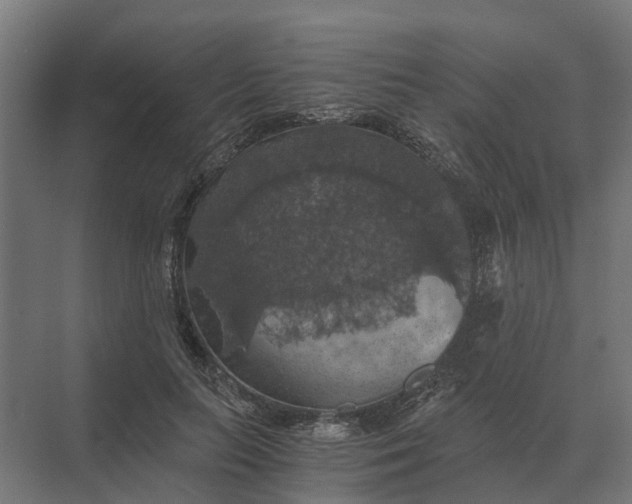 X0000069810647200606021506