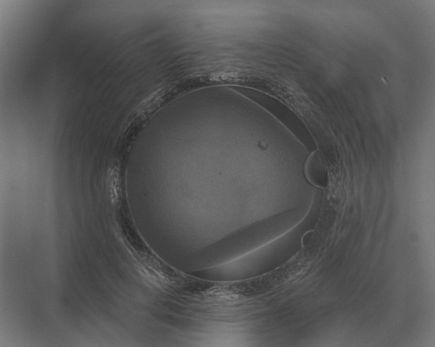 X0000069810648200606021506