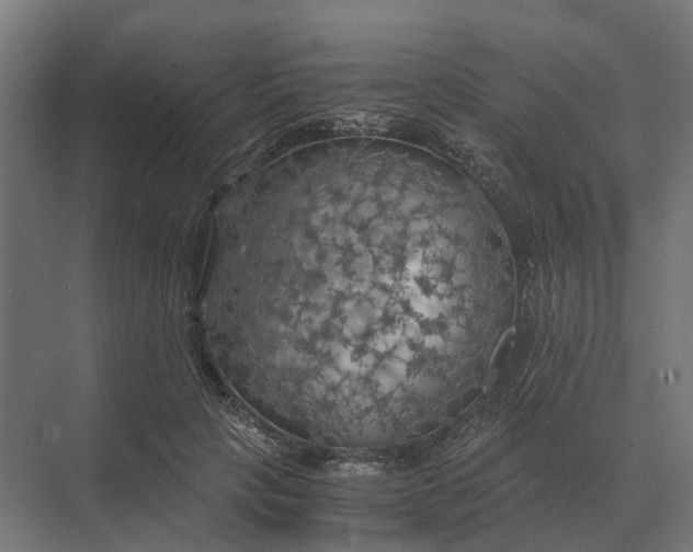 X0000069810649200606021506