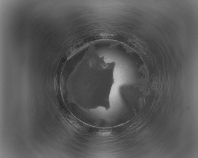 X0000069810651200606021506