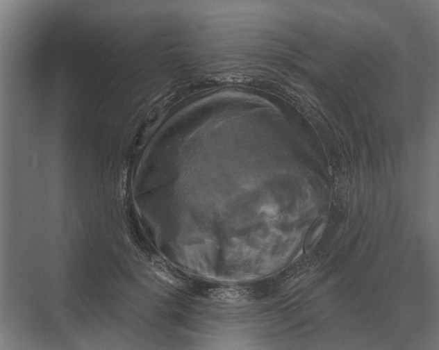 X0000069810652200606021506