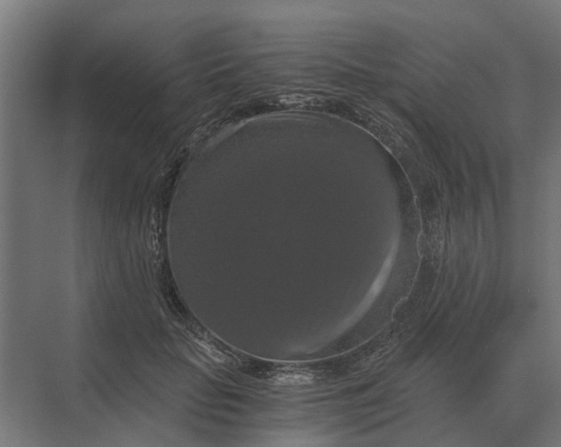 X0000069810653200606021506