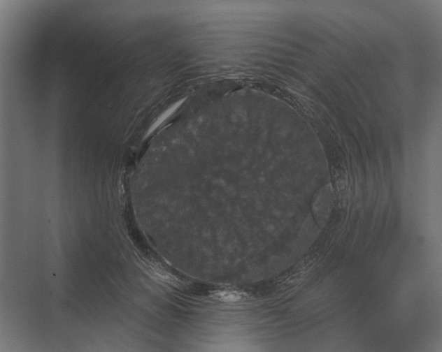 X0000069810654200606021506