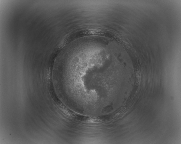 X0000069810657200606021506