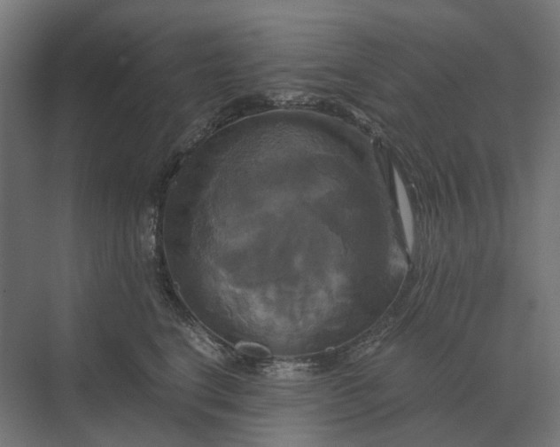 X0000069810664200606021506