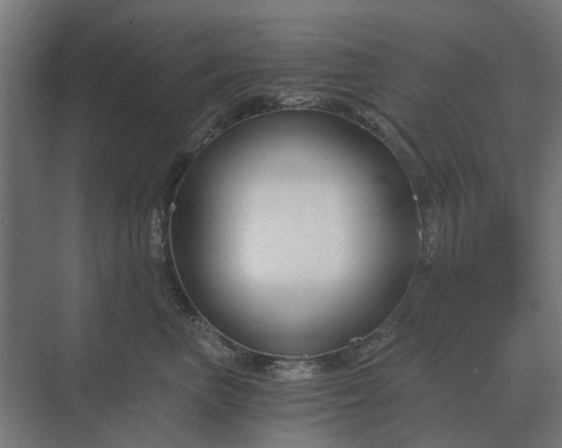 X0000069810667200606021506