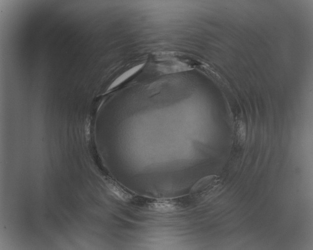 X0000069810668200606021507