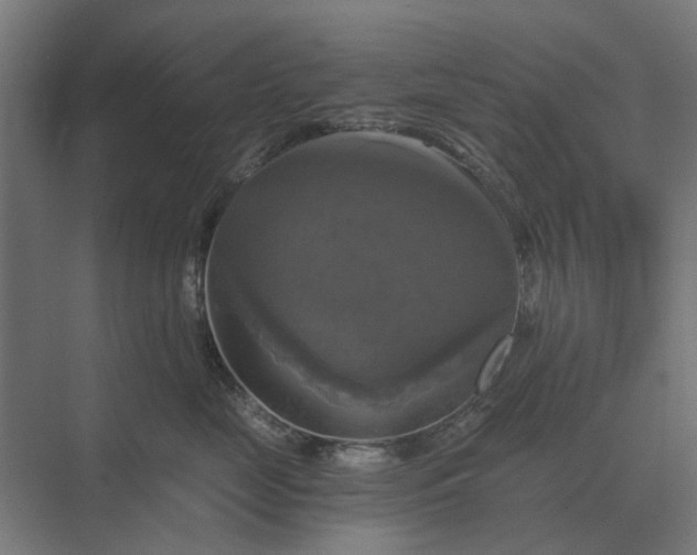 X0000069810669200606021507