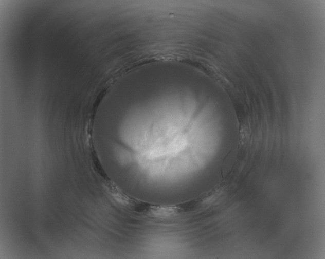 X0000069810671200606021507