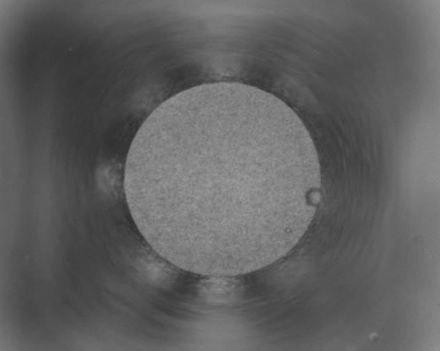 X0000069810672200606021507