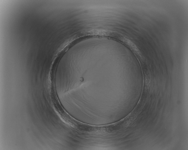 X0000069810674200606021506