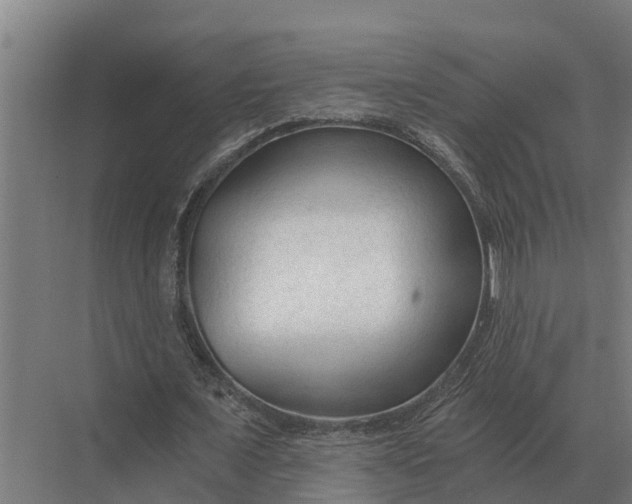 X0000069810675200606021506