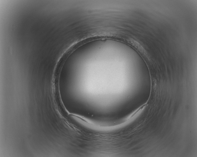 X0000069810676200606021506