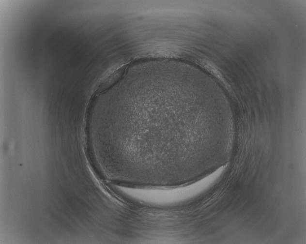 X0000069810677200606021506