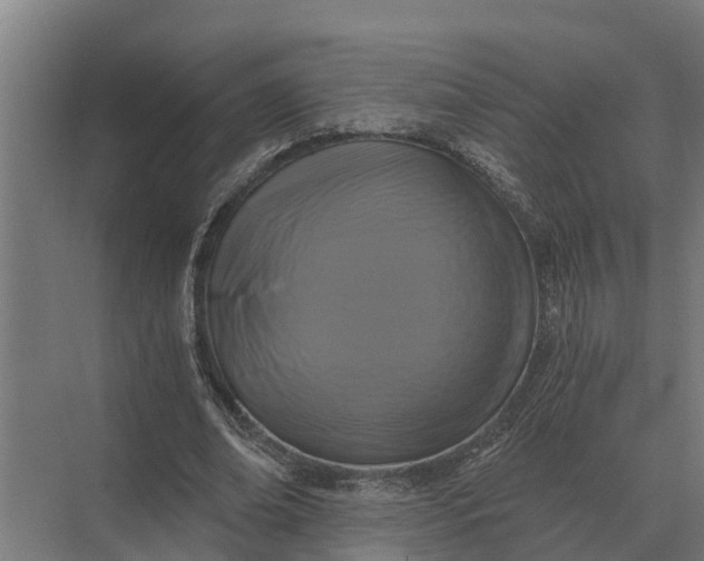 X0000069810678200606021506