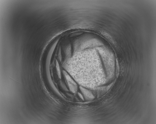 X0000069810680200606021506