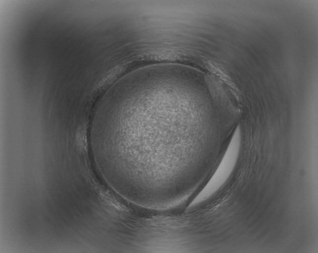 X0000069810681200606021506