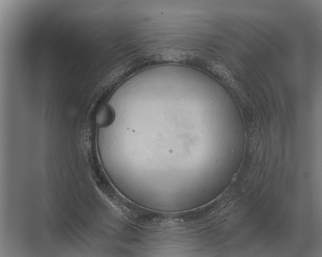 X0000069810683200606021506