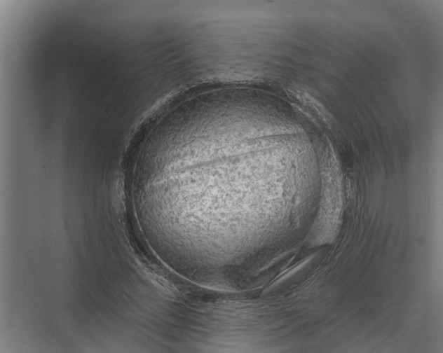 X0000069810684200606021506