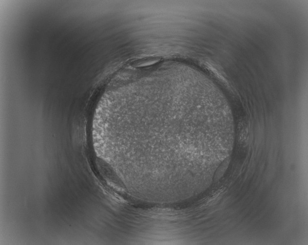 X0000069810685200606021506