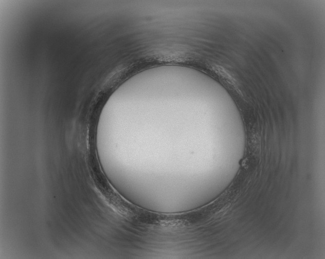 X0000069810686200606021506