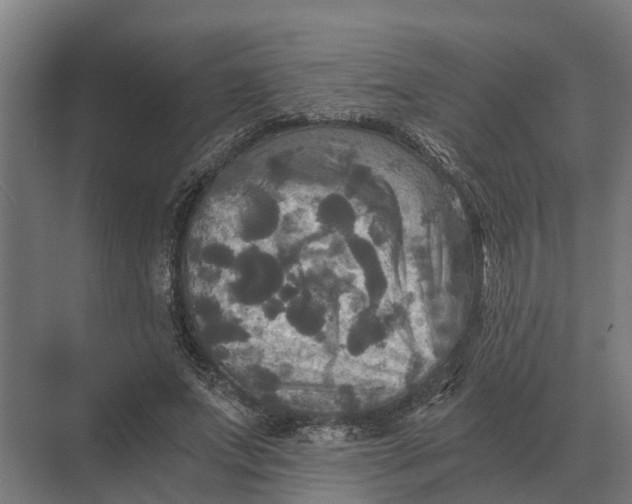 X0000069810687200606021506