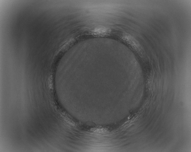 X0000069810689200606021505