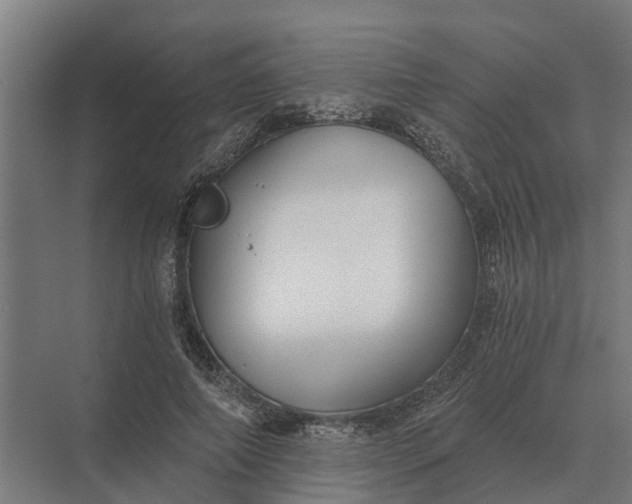 X0000069810690200606021505