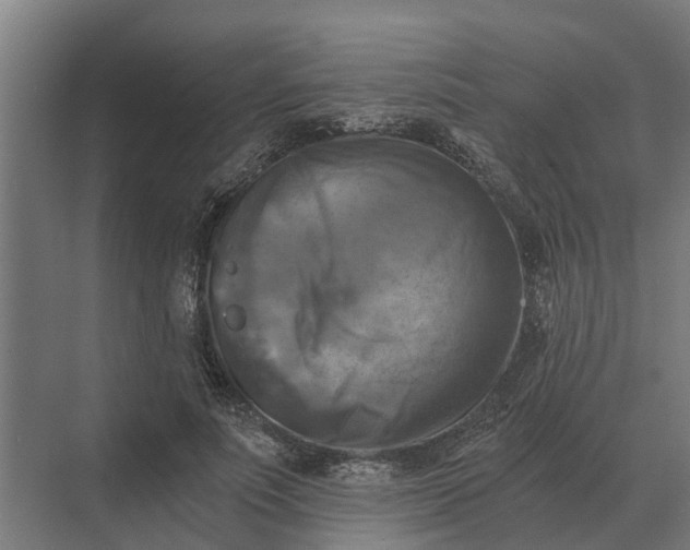 X0000069810691200606021505