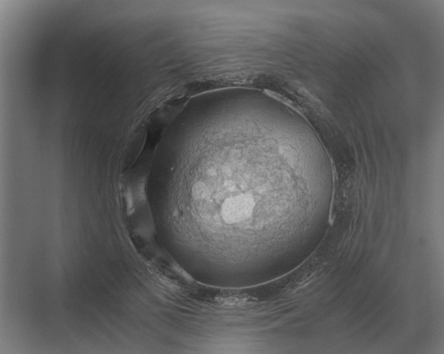 X0000069810693200606021505