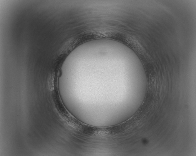 X0000069810694200606021505