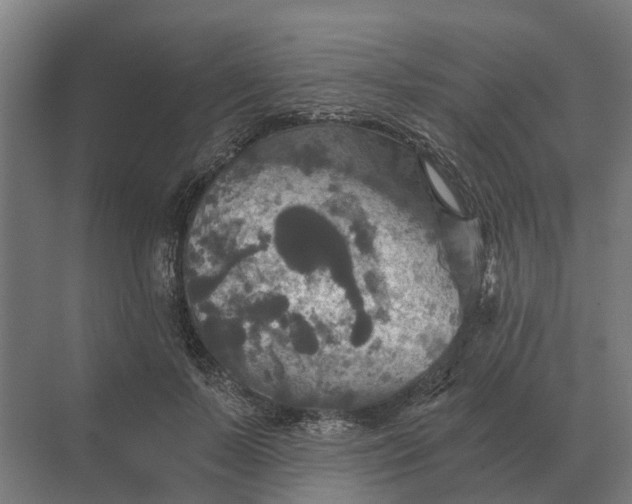 X0000069810695200606021505