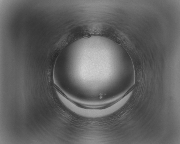 X0000069810697200606021505