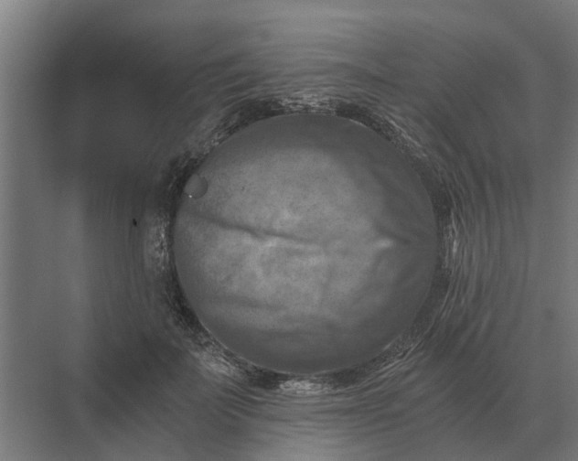 X0000069810699200606021505