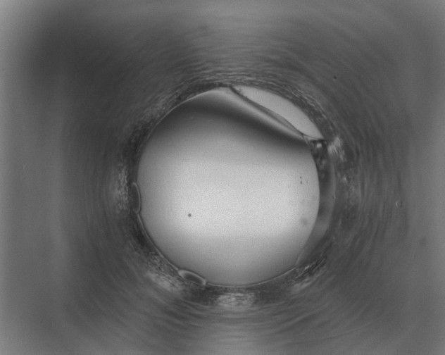 X0000069810700200606021505